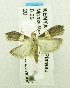  ( - USNM ENT 00719963)  @12 [ ] Unspecified (default): All Rights Reserved  Unspecified Unspecified
