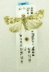  ( - USNM ENT 00719972)  @13 [ ] Unspecified (default): All Rights Reserved  Unspecified Unspecified