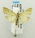  ( - USNM ENT 00719994)  @14 [ ] Unspecified (default): All Rights Reserved  Unspecified Unspecified