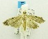  ( - USNM ENT 00721613)  @13 [ ] Unspecified (default): All Rights Reserved  Unspecified Unspecified