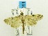  ( - USNM ENT 00721614)  @14 [ ] Unspecified (default): All Rights Reserved  Unspecified Unspecified
