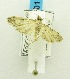  ( - USNM ENT 00721615)  @13 [ ] Unspecified (default): All Rights Reserved  Unspecified Unspecified