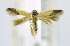  ( - USNM ENT 00724313)  @14 [ ] Unspecified (default): All Rights Reserved  Unspecified Unspecified