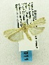  ( - USNM ENT 00798089)  @12 [ ] Unspecified (default): All Rights Reserved  Unspecified Unspecified