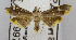  ( - USNM ENT 00800744)  @11 [ ] Unspecified (default): All Rights Reserved  Unspecified Unspecified