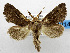  ( - USNM ENT 00800837)  @14 [ ] Unspecified (default): All Rights Reserved  Unspecified Unspecified
