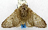  ( - USNM ENT 00800845)  @13 [ ] Unspecified (default): All Rights Reserved  Unspecified Unspecified