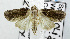  ( - USNM ENT 00800883)  @13 [ ] Unspecified (default): All Rights Reserved  Unspecified Unspecified