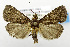  ( - USNM ENT 00800969)  @14 [ ] Unspecified (default): All Rights Reserved  Unspecified Unspecified