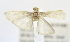  ( - USNM ENT 00980070)  @12 [ ] Unspecified (default): All Rights Reserved  Unspecified Unspecified