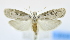  ( - USNM ENT 00980090)  @13 [ ] Unspecified (default): All Rights Reserved  Unspecified Unspecified