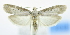  ( - USNM ENT 00980092)  @13 [ ] Unspecified (default): All Rights Reserved  Unspecified Unspecified
