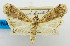  ( - USNM ENT 00980474a)  @11 [ ] Unspecified (default): All Rights Reserved  Unspecified Unspecified