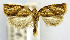  ( - USNM ENT 00980797)  @11 [ ] Unspecified (default): All Rights Reserved  Unspecified Unspecified