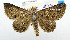  ( - USNM ENT 00980839)  @13 [ ] Unspecified (default): All Rights Reserved  Unspecified Unspecified