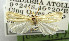  ( - USNM ENT 00980850)  @11 [ ] Unspecified (default): All Rights Reserved  Unspecified Unspecified