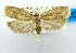  ( - USNM ENT 00980855)  @14 [ ] Unspecified (default): All Rights Reserved  Unspecified Unspecified