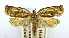  ( - USNM ENT 00980860)  @11 [ ] Unspecified (default): All Rights Reserved  Unspecified Unspecified