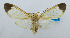  ( - USNM ENT 00980897)  @14 [ ] Unspecified (default): All Rights Reserved  Unspecified Unspecified