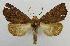  ( - USNM ENT 00980921)  @14 [ ] Unspecified (default): All Rights Reserved  Unspecified Unspecified