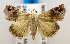  ( - USNM ENT 00980956)  @13 [ ] Unspecified (default): All Rights Reserved  Unspecified Unspecified