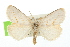  ( - USNM ENT 00676249)  @15 [ ] CreativeCommons - Attribution (2009) Unspecified Centre for Biodiversity Genomics
