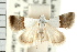  ( - USNM ENT 00193032)  @14 [ ] CreativeCommons - Attribution (2009) Unspecified Centre for Biodiversity Genomics