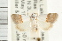  ( - USNM ENT 00193081)  @14 [ ] CreativeCommons - Attribution (2009) Unspecified Centre for Biodiversity Genomics