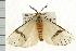  ( - USNM ENT 00193847)  @13 [ ] CreativeCommons - Attribution (2009) Unspecified Centre for Biodiversity Genomics