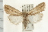  ( - USNM ENT 00195153)  @14 [ ] CreativeCommons - Attribution (2009) Unspecified Centre for Biodiversity Genomics