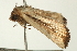  ( - USNM ENT 00678878)  @13 [ ] CreativeCommons - Attribution (2009) Unspecified Centre for Biodiversity Genomics