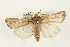  ( - USNM ENT 00678886)  @14 [ ] CreativeCommons - Attribution (2009) Unspecified Centre for Biodiversity Genomics
