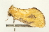  ( - USNM ENT 00678926)  @13 [ ] CreativeCommons - Attribution (2009) Unspecified Centre for Biodiversity Genomics