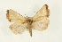  ( - USNM ENT 00678931)  @14 [ ] CreativeCommons - Attribution (2009) Unspecified Centre for Biodiversity Genomics