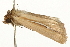  ( - USNM ENT 00719073)  @12 [ ] CreativeCommons - Attribution (2010) Unspecified Centre for Biodiversity Genomics