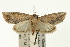  ( - USNM ENT 00194048)  @14 [ ] CreativeCommons - Attribution (2009) Unspecified Centre for Biodiversity Genomics
