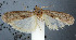  ( - NHMUK010361982)  @13 [ ] Unspecified (default): All Rights Reserved  Unspecified Unspecified