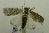  ( - USNM ENT 00719252)  @12 [ ] Unspecified (default): All Rights Reserved  Unspecified Unspecified