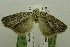  ( - USNM ENT 00719254)  @13 [ ] Unspecified (default): All Rights Reserved  Unspecified Unspecified