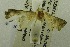  ( - USNM ENT 00719261)  @12 [ ] Unspecified (default): All Rights Reserved  Unspecified Unspecified