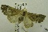  ( - USNM ENT 00719262)  @13 [ ] Unspecified (default): All Rights Reserved  Unspecified Unspecified