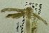  ( - USNM ENT 00719270)  @12 [ ] Unspecified (default): All Rights Reserved  Unspecified Unspecified