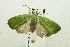  ( - USNM ENT 00719286)  @14 [ ] Unspecified (default): All Rights Reserved  Unspecified Unspecified
