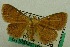  ( - USNM ENT 00731173)  @14 [ ] Unspecified (default): All Rights Reserved  Unspecified Unspecified