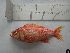  ( - PeMar_F0432)  @11 [ ] Unspecified (default): All Rights Reserved  Copyright © Unspecified