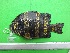  ( - PeMar_F0922)  @11 [ ] Unspecified (default): All Rights Reserved  Copyright © Unspecified