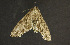  ( - EURO1.00)  @12 [ ] CreativeCommons - Attribution (2010) Unspecified Centre for Biodiversity Genomics