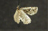  ( - TETA1.00)  @13 [ ] CreativeCommons - Attribution (2010) Unspecified Centre for Biodiversity Genomics