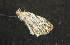  ( - moth544.01)  @13 [ ] CreativeCommons - Attribution (2010) Unspecified Centre for Biodiversity Genomics