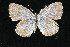  ( - 2003-VIR-7)  @13 [ ] Unspecified (default): All Rights Reserved  Unspecified Unspecified